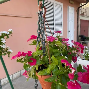 I Colori Della Quiete , Ravenna Italia